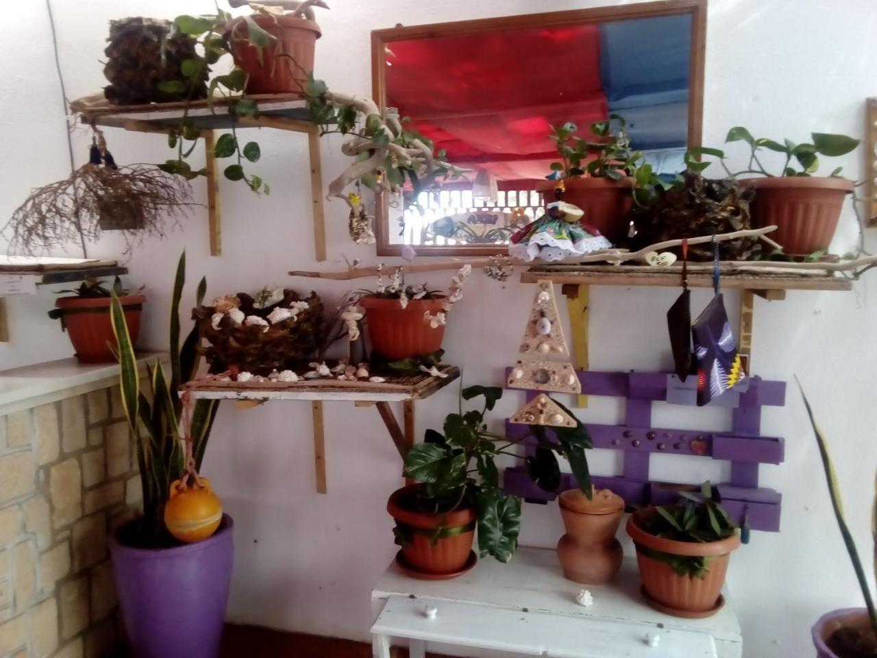 סאל ריי Residence A Paz מראה חיצוני תמונה