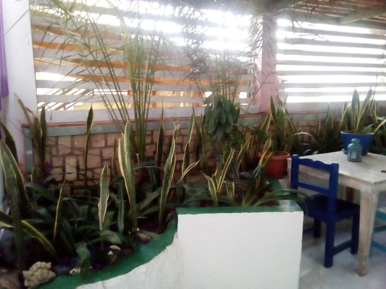 סאל ריי Residence A Paz מראה חיצוני תמונה